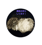 打ち上げ 花火2（個別スタンプ：5）