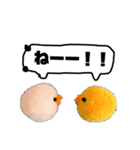ふわころあにまるず（個別スタンプ：32）