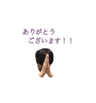 山本 スタンプ（個別スタンプ：8）