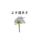 動植物たち(日本語バージョン)（個別スタンプ：2）