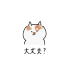 明日のぽっちゃん（個別スタンプ：5）