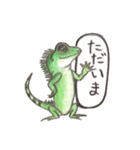 絵本みたいなウォータードラゴン（個別スタンプ：6）