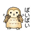 フクロウ大好き！パート5（個別スタンプ：6）