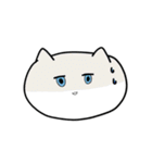Re: もちネコ。（個別スタンプ：24）
