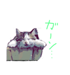 イラストひのき猫スタンプ（個別スタンプ：18）