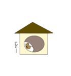 赤ちゃんモルモット（個別スタンプ：4）