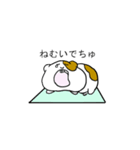 赤ちゃんモルモット（個別スタンプ：6）