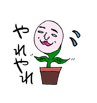 鉢植えくんと鉢植えちゃん。（個別スタンプ：24）