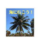 花のメッセージ Kz Studio（個別スタンプ：4）