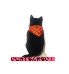 甲斐犬のうめスタンプPart3（個別スタンプ：6）