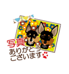 まめぴん321*ウォルフくん＆イシスちゃん（個別スタンプ：10）