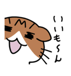 ぼくだよ…（個別スタンプ：17）