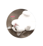 ハンサムなケチャップちゃん（個別スタンプ：7）