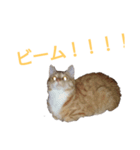 viviy（個別スタンプ：1）
