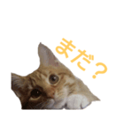 viviy（個別スタンプ：2）
