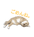 viviy（個別スタンプ：4）