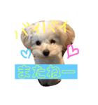 ミントとモカの仲良しスタンプ‼️（個別スタンプ：5）
