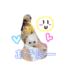 ミントとモカの仲良しスタンプ‼️（個別スタンプ：7）
