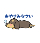 アトムとサンの友達、ダックスちゃん（個別スタンプ：3）