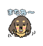 アトムとサンの友達、ダックスちゃん（個別スタンプ：4）