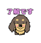 アトムとサンの友達、ダックスちゃん（個別スタンプ：5）