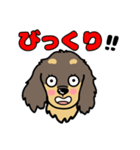 アトムとサンの友達、ダックスちゃん（個別スタンプ：12）