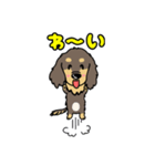 アトムとサンの友達、ダックスちゃん（個別スタンプ：16）