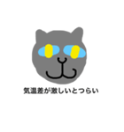 a- cat（個別スタンプ：6）