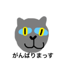 a- cat（個別スタンプ：11）