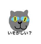a- cat（個別スタンプ：15）