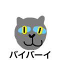 a- cat（個別スタンプ：17）