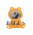 やんちゃな レン まりん（個別スタンプ：1）