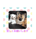 やんちゃな レン まりん（個別スタンプ：5）
