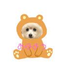 ポメチーのスタンプ（個別スタンプ：8）