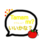 トルコ語と日本語の吹き出しスタンプ（個別スタンプ：37）