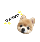 くぅてぃ（個別スタンプ：7）