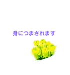 春の花でシンプルで上品な言い回し（個別スタンプ：9）