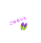 春の花でシンプルで上品な言い回し（個別スタンプ：11）
