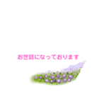 春の花でシンプルで上品な言い回し（個別スタンプ：16）