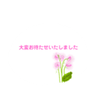 春の花でシンプルで上品な言い回し（個別スタンプ：17）