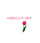 春の花でシンプルで上品な言い回し（個別スタンプ：20）