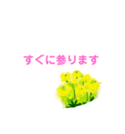 春の花でシンプルで上品な言い回し（個別スタンプ：21）