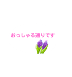 春の花でシンプルで上品な言い回し（個別スタンプ：23）