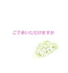 春の花でシンプルで上品な言い回し（個別スタンプ：24）