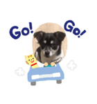 サンタ郎(犬)（個別スタンプ：5）