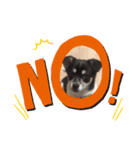 サンタ郎(犬)（個別スタンプ：6）