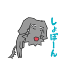 ベリさん（個別スタンプ：37）