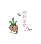 アボカドのたね。（個別スタンプ：8）