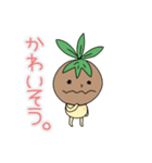 アボカドのたね。（個別スタンプ：23）