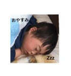 お試しちゅんちゅん（個別スタンプ：5）